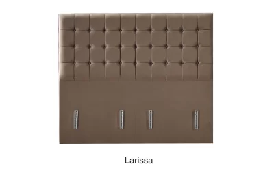 Larissa